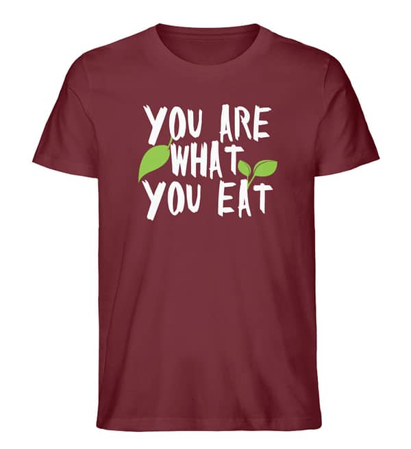 You Are What You Eat - Herren Premium Organic Shirt-6883